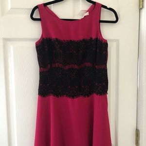 LOFT Pink & Black Lace Dress